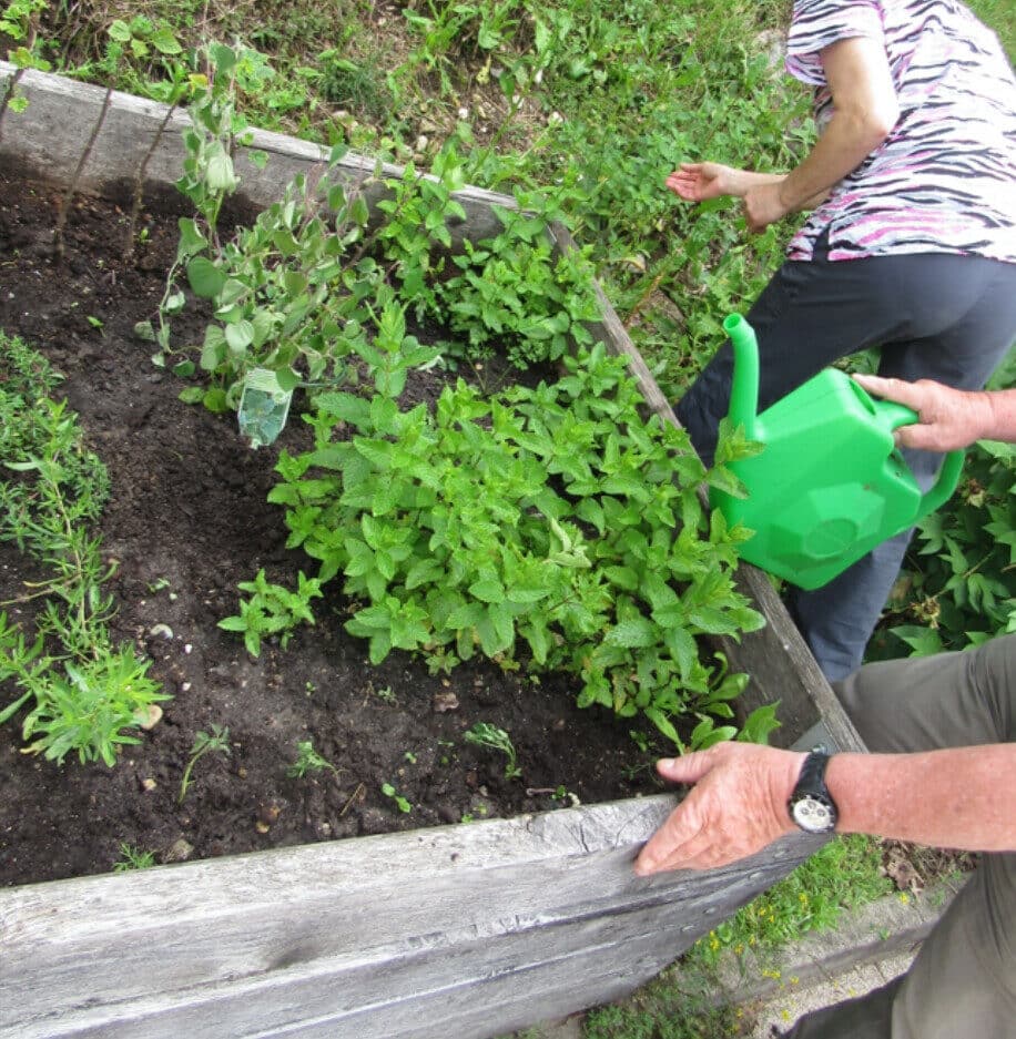 Teden izobraževanja za trajnostni razvoj